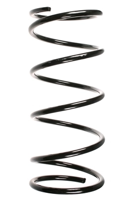 Ressort de suspension SPIDAN 55785