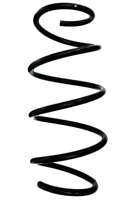 Ressort de suspension SPIDAN 88360