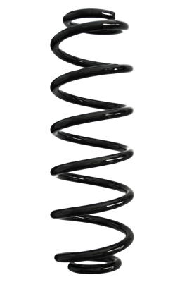 Ressort de suspension SPIDAN 88113