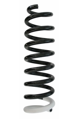 Ressort de suspension SPIDAN 87410