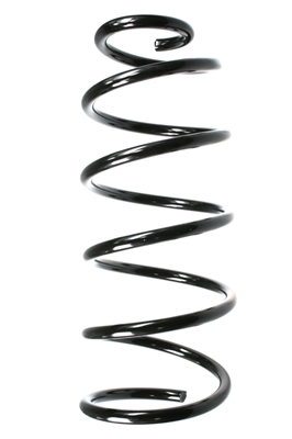 Ressort de suspension SPIDAN 49550