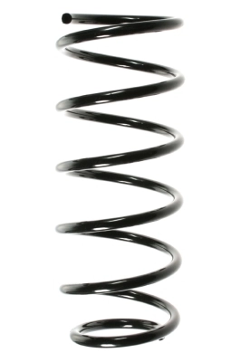 Ressort de suspension SPIDAN 48498