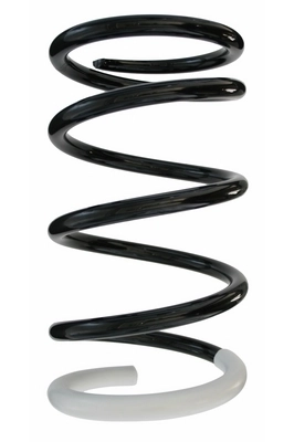 Ressort de suspension SPIDAN 85444