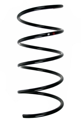 Ressort de suspension SPIDAN 85196