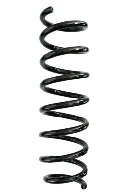 Ressort de suspension SPIDAN 87972