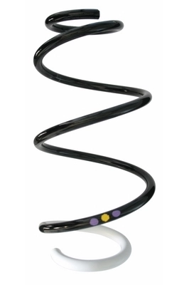 Ressort de suspension SPIDAN 87877