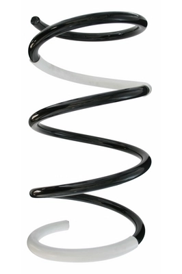 Ressort de suspension SPIDAN 87091