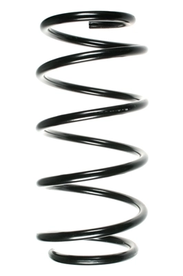 Ressort de suspension SPIDAN 48249