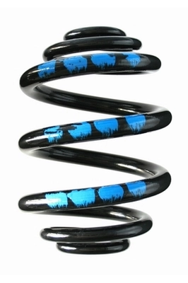 Ressort de suspension SPIDAN 85754