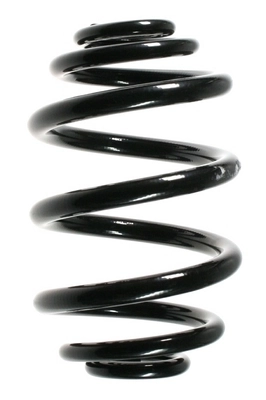 Ressort de suspension SPIDAN 55119