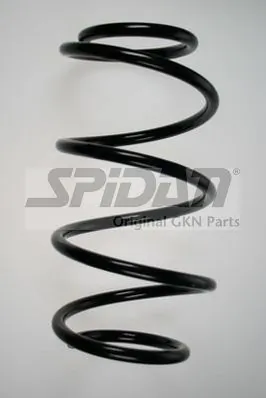 Ressort de suspension SPIDAN 85957