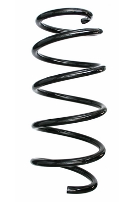 Ressort de suspension SPIDAN 87507