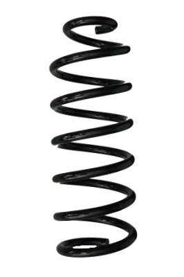Ressort de suspension SPIDAN 87988