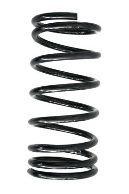 Ressort de suspension SPIDAN 49181