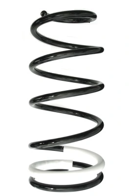 Ressort de suspension SPIDAN 88332