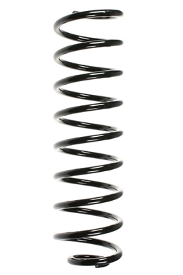 Ressort de suspension SPIDAN 48208
