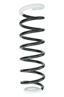 Ressort de suspension SPIDAN 49693