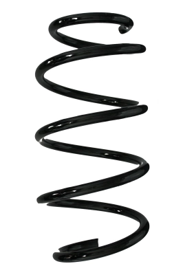 Ressort de suspension SPIDAN 87706