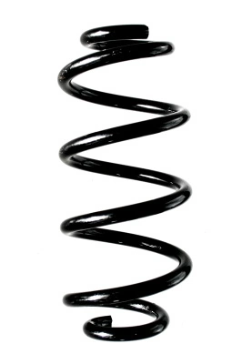 Ressort de suspension SPIDAN 88370