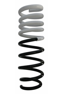 Ressort de suspension SPIDAN 87749