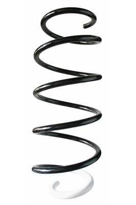 Ressort de suspension SPIDAN 87398