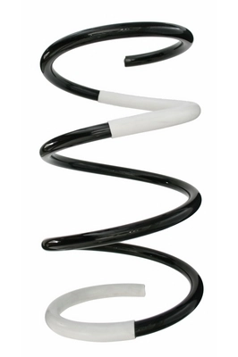 Ressort de suspension SPIDAN 87090