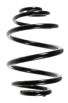 Ressort de suspension SPIDAN 48504