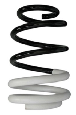 Ressort de suspension SPIDAN 88009