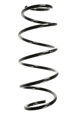 Ressort de suspension SPIDAN 49620