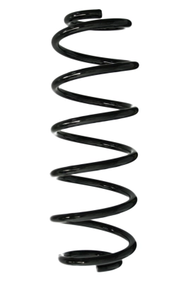 Ressort de suspension SPIDAN 88119