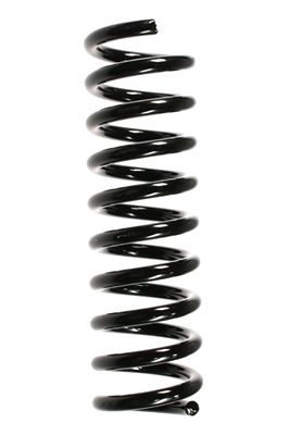 Ressort de suspension SPIDAN 49419
