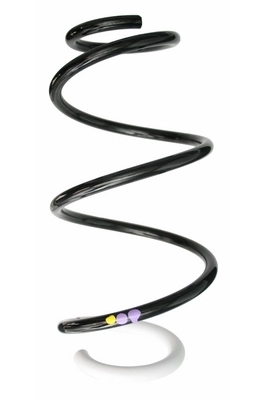 Ressort de suspension SPIDAN 87873