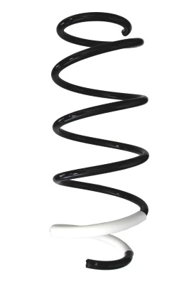 Ressort de suspension SPIDAN 87964