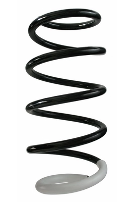 Ressort de suspension SPIDAN 87225