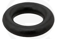 Seal Ring, injector