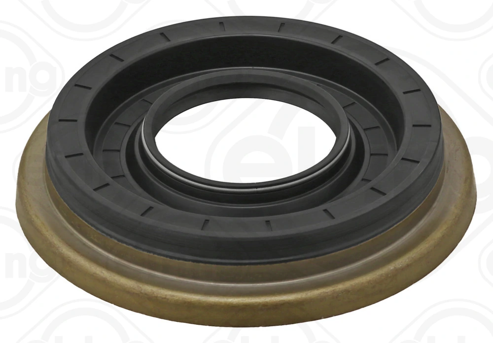 Shaft Seal, differential
