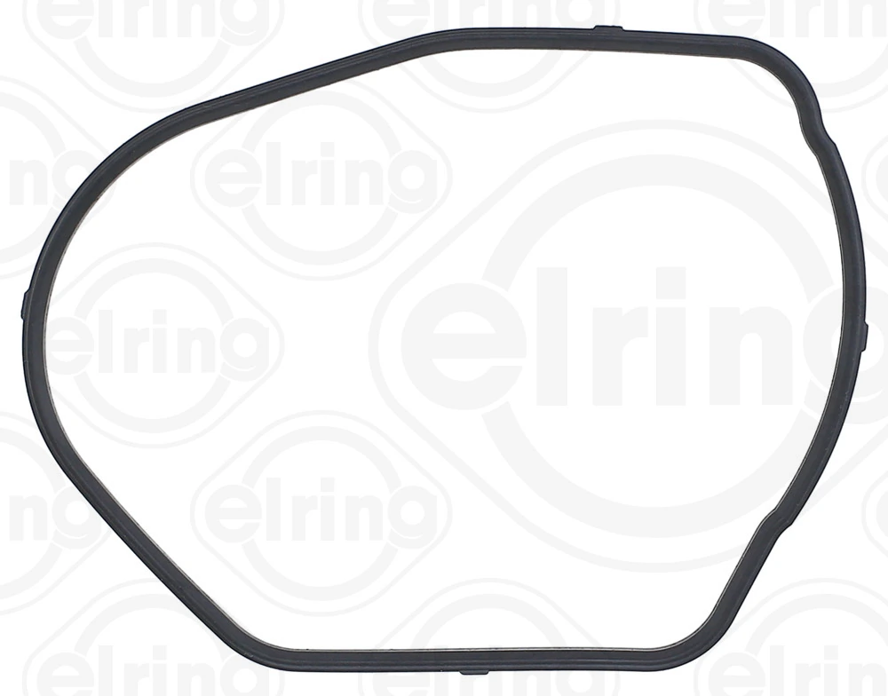 Gasket, thermostat housing