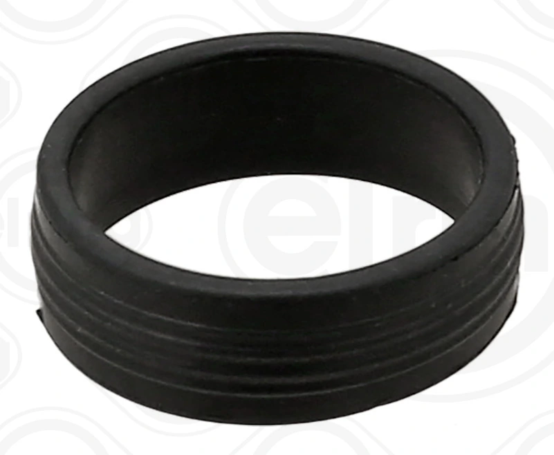 Seal Ring, injector