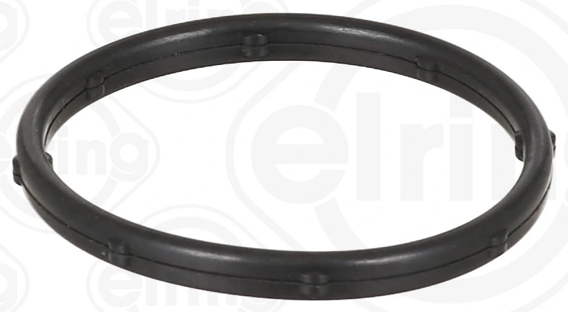 Gasket, thermostat housing