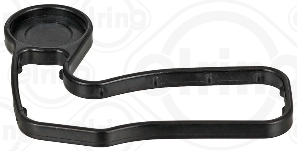 Gasket, timing case cover