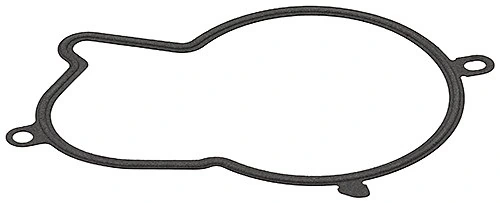 USZCZELKA POMPY WTR. CITROEN C4, JUMPER, JUMPY/ PEUGEOT 308, 3008 09-
