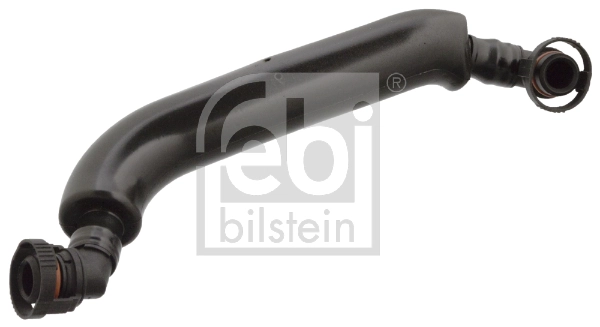 Hose, crankcase ventilation