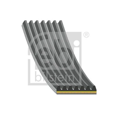 Courroie trapézoïdale à nervures FEBI BILSTEIN 192642