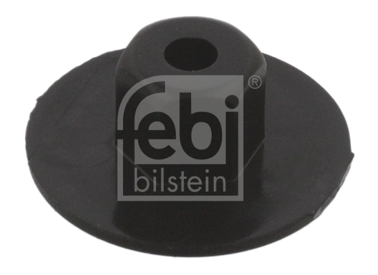 Clip, trim/protection strip