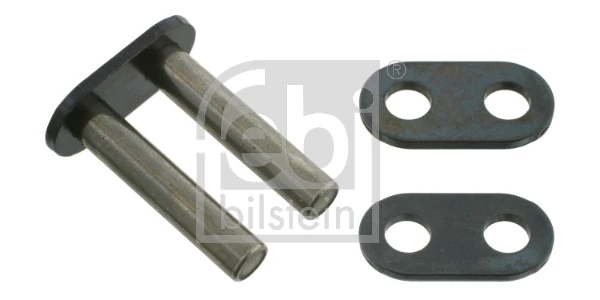 Link, timing chain