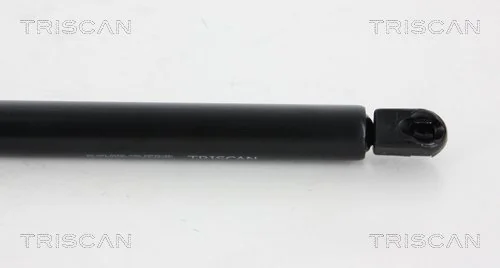 01c55b325efdf3ce9f4e47ec03798bb1a84b42b9.webp — 2