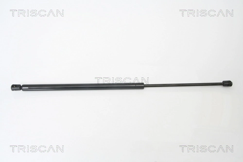 Gas Spring, boot/cargo area
