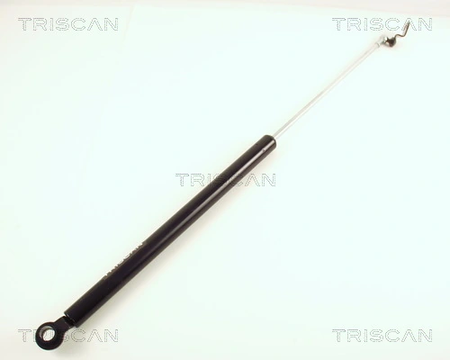Gas Spring, boot/cargo area