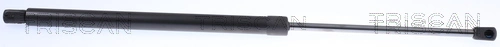 Gas Spring, boot/cargo area