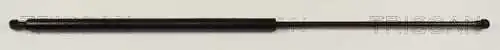 Gas Spring, boot/cargo area